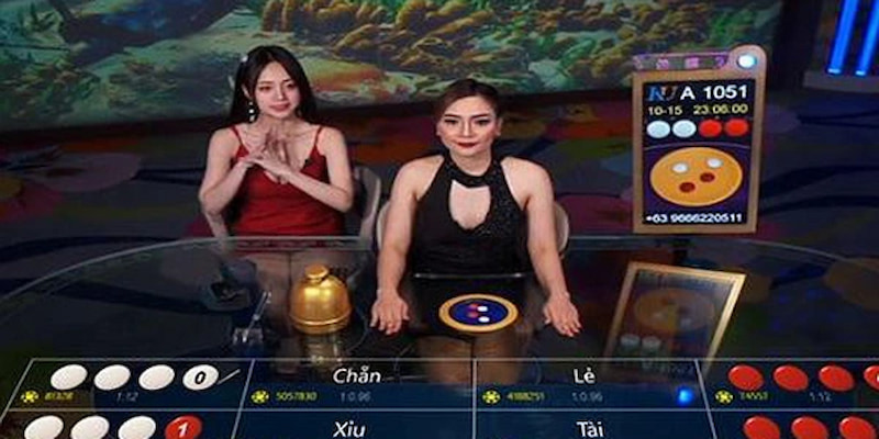 Dealer Thường Gặp Trong Livestream Xóc Đĩa