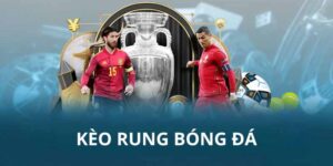 Bongvip - Chơi kèo rung trực tiếp nhận thưởng siêu lớn